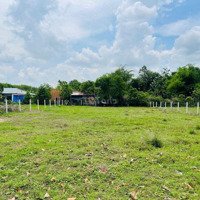 Hàng Hiếm Giá Tốt - Bán Ngay Lô Đấtmặt Tiềnđường 177M2 Phước Thạnh, Shr Giá 885 Triệu
