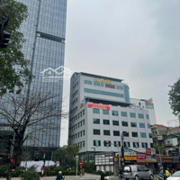 Cho Thuê Mb Tầng 1 Tại Đường Láng, 350M²,Mặt Tiềnrộng, Riêng Biệt, Thông Sàn, Kd Mọi Mô Hình