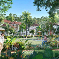 Biệt Thự Sun Vũng Tàu Sống Giữa Thiên Nhiên, Riêng Tư, Và Đủ Đầy Tiện Ích