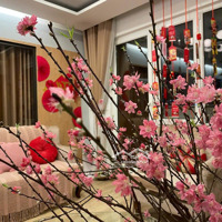 Cho Thuê Căn Hộ Căn Góc, 60M2, 2 Phòng Ngủ Full Đồ, Chung Cư Ct1 Kdt Nghĩa Đô. Căn Hộ Đẹp,Đầy Đủ Nội Thất