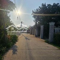 Chủ Đi Nước Ngoài Cần Bán Lô Đất Tại Bình Minh, 1Tỷ9, 80M2, Q9, Hcm, Vị Trí Đẹp Gần Nhiều Tiện Ích