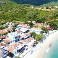 Dự Án Đất Nền Mặt Biển Ninh Đảo Xây Dựng Nhà Ở Home Stay Hoặc Kinh Doanh Du Lịch Nghỉ Dưỡng.