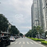 Bán Gấp Nhà Mặt Phố Nguyễn Văn Giáp - Hàm Nghi, 100M2, Kinh Doanh Sầm Uất, Xây Toà Vp, Giá Đầu Tư