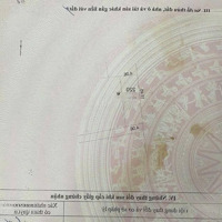 Em Bán Đất Trong Đê Tổ 5 Yên Nghĩa, Sát Đường Vành Đai 4, S48M2, Mặt Tiền 4M, Giá Chỉ Hơn 80 Triệu/M2