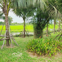 View Lúa Phố Hoian Cẩm Châu Trên 500M2