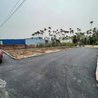 -Chỉ Còn Lô Đất Giá Rẻ Nhất Đường Nhựa Rộng 6M Tại Đường Nhà Mạc - Hoà Nghĩa - Dương Kinh
- Diện Tí