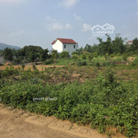 Bán Đất Lô Góc Hai Mặt Tiền- Đường Ô Tô 950M Sóc Sơn.