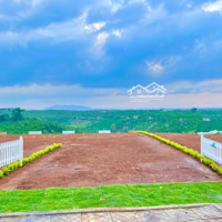Đất Nền Di Linh Sổ Riêng View Cực Đẹp Giá Chỉ Từ 286 Triệu/Nền