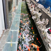 Bán Biệt Thự Khu Dân Cư Trung Sơn, Tại Xã Bình Hưng, Bình Chánh, 47 Tỷ, 240M2, Pháp Lý Đầy Đủ