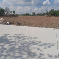 Bán Đất Tại Gò Công, Tiền Giang, 125M2 Đường Quốc Lộ 50, 400 Triệu, Đã Có Sổ, Có Nhiều Lô.