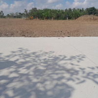 Bán Đất Tại Gò Công, Tiền Giang, 125M2 Đường Quốc Lộ 50, 400 Triệu, Đã Có Sổ, Có Nhiều Lô.