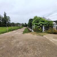 Lô đất Diên Khánh 100m2 chỉ 390tr có thổ và sổ riêng (chủ cần bán Nhanh)