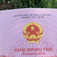 Đất Thổ Cư Chính Chủ, View Đồi Chè Tuyệt Đẹp, Đường Nhựa 6M, Giá Tốt Nhất Thị Trường Chỉ 6.5 Triệu