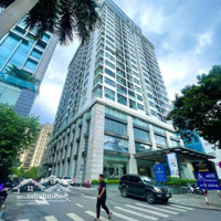 Cho Thuê Tầng 1 - Tòa Skyline 36 Hoàng Cầu, Diện Tích 600M2, Mặt Tiền 20M