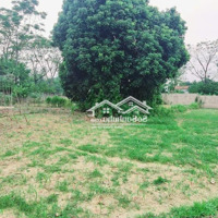 Bán Đất Tại Xã Nam Phương Tiến, Chương Mỹ, Hà Nội, 3,5 Triệu / M2, 1900 M2 Chính Chủ