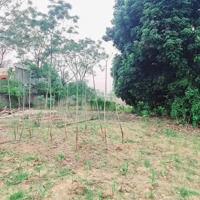 Bán Đất Tại Xã Nam Phương Tiến, Chương Mỹ, Hà Nội, 3,5 Triệu / M2, 1900 M2 Chính Chủ
