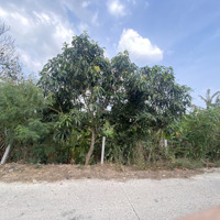 Đất Thổ Cư 100% Sang Tên Trong Ngày