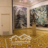 Vip- Biệt Thự Trần Nhật Duật 12M X 20M- 2 Tầng- Tân Định, Quận 1