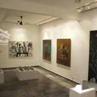 Vip- Biệt Thự Trần Nhật Duật 12M X 20M- 2 Tầng- Tân Định, Quận 1