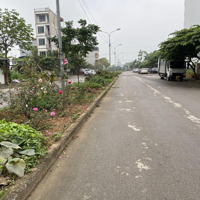 Chính Chủ Bán Nhanh Lô Đất Dịch Vụ Khu B Yên Nghĩa Hà Đông . Đất Phân Lô Vỉa Hè Rộng Hướng Đông Nam