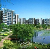 Căn Hộ Celadon City Khu Diamond Brilliant 2+Pn 2 Vệ Sinhchỉ 20 Triệu