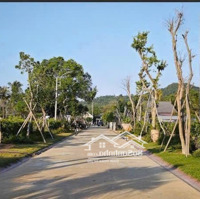 Bán Gấp Giá Ngộp - 500M2 Đất Villa Búng Gội, Cửa Dương, Phú Quốc.