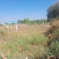 Bán Đất Tại Đường 873B, Xã Tân Trung, Gò Công, Tiền Giang, 650 Triệu, 195 M2 Có 100M2 Thổ, Sổ Rồi