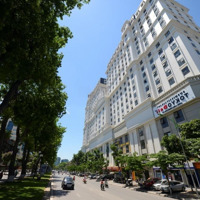 Bán Căn Hộ Chung Cư D2 Giảng Võ, Diện Tích 112M2, 114,5M2, 200M2, 320M Nhiều Diện Tích Sàn Vp.