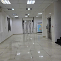 Cho Thuê Biệt Thự 200M2, 90 Triệu, Tại Tân Hưng, Q7, Hcm