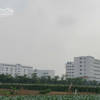 Cc Bán Lk 11, Kđt Cienco5, Mê Linh: 100M2,Mặt Tiền5M, Đường 24M, Sát Trường Đhtc, Giá Đầu Tư.0982691131
