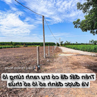 Bán Đất Đẹp Xuất Sắc Tại Lộc Ninh, Dương Minh Châu, Tây Ninh, 240 Triệu, 175 M2 Có 60M Thổ