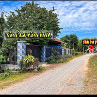 Bán Đất Đẹp Xuất Sắc Tại Lộc Ninh, Dương Minh Châu, Tây Ninh, 240 Triệu, 175 M2 Có 60M Thổ