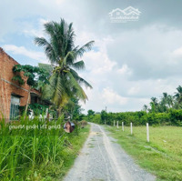 470 Triệu__Gần Kcn Hiệp Thạnh 5X33 Full Thổ Cư. Sổ Hồng Riêng