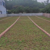 Cắt Lỗ Bán Mảnh Đất 150M2 Trục Chính Kinh Doanh Liên Xã An Phú Giá Chua Đến 10 Triệu/M2 Đất Ở Đô Thị