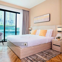 Toàn Bộ Giỏ Hàng Rẻ Đẹp Chất Lượng - 2 Phòng Ngủ Feliz En Vista - 8,6 Tỷ Full Nội Thất Sẵn Hđ Thuê
