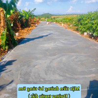Xuân Phú-Ea Kar 210M2 Full Đất Ở Đô Thị Đường Bê Tông Hiện Hữu Quy Hoạch 24M Chỉ Từ 179 Triệu/Lô