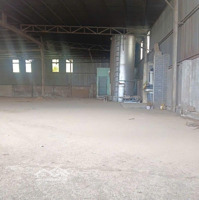 Cho Thuê Xưởng 1750M2 Gần Cây Xăng Như Ý Ngọc - Tp Biên Hòa - Giá Thuê Chỉ 37 Triệu/Tháng