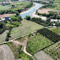 Bán Vườn Trái Cây 4.300M2 Quy Hoạch Full Thổ Cư Gần Uỷ Ban Xã Sông Cầu, Khánh Vĩnh Giá Rẻ