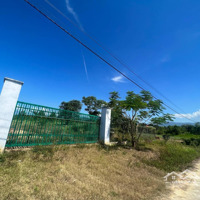 Bán Vườn Trái Cây 4.300M2 Quy Hoạch Full Thổ Cư Gần Uỷ Ban Xã Sông Cầu, Khánh Vĩnh Giá Rẻ