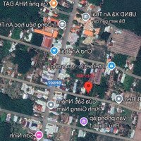 Đất Đang Trồng Sầu Riêng 8 Năm. Ngang 15X48, Tc 100M2