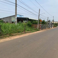 Chủ Cần Bán Nhanh Lô Đất Xm Cách Đường Nhựa Chính Bình Đa Tầm 60M . Cách Nhà Thờ Đức Mẹ Mân Côi