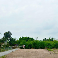 260 Triệu, Đất Đẹp Rẻ Ngay Gần Chợ Và Trường Học Lộc Ninh. 140M2 Có Thổ Cư