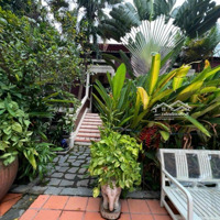 Bán Khu Sinh Thái Độc Nhất Dĩ An Hơn 4.130M2 Thổ Cư 3 Biệt Thự Pháp Bộ Sưu Tập Đồ Cổ Ngàn Năm