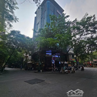 Siêu Phẩm Tòa Nhà Văn Phòng Ở Mặt Phố Nguyên Hồng,100M,9 Tầng,Lo Góc, Vỉa Hè Rộng Doanh Thu 3Ty/Năm