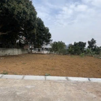 Chính Chủ Cần Bán Đất Quốc Oai Giá Rẻ Mặt Tiền 10M Sổ Đỏ Giá 50 Triệu/M2 Còn Thương Lượng