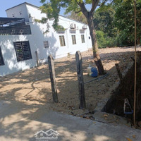 Đất Diên An Hẽm Gò Dầu Thượng. Gần Cây Dầu Đôi