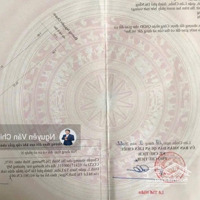 Cơ Hội Vàng Đầu Tư 730M Mặt Tiền Cực Hiếm Trên Trục Đường Biển Nguyễn Chánh! Xây Cao Tầng