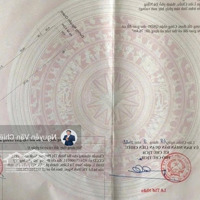 Cơ Hội Vàng Đầu Tư 730M Mặt Tiền Cực Hiếm Trên Trục Đường Biển Nguyễn Chánh! Xây Cao Tầng