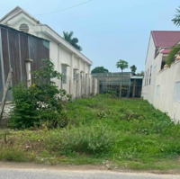 Bán Lô Đất Thạnh Lộc 29, Phường Thạnh Lộc, Quận 12 (Khu Chợ Cầu Đồng - Ngã Tư Ga)