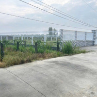 Bán 1210M2 Mặt Tiền Đường Đan 3M 20 X 51 X 60 M Có 300 M2 Thổ Cư Giá Bán 5 Tỷ 500 Triệu 0902365769